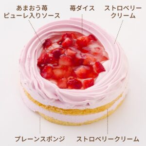 イチゴのホールケーキ-sub1